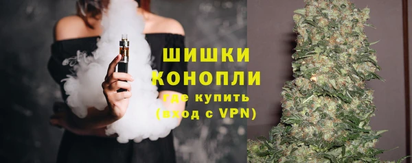 стаф Протвино